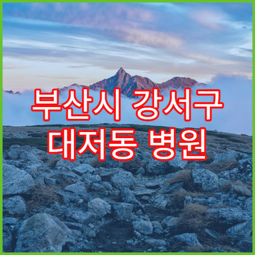 부산시 강서구 대저동 병원 당일 진료 제한 사례 정리