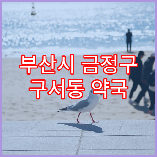 부산시 금정구 구서동 약국 동일 약 반복 처방 기준