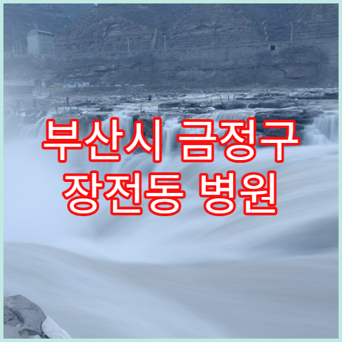 부산시 금정구 장전동 병원 검사 결과 당일 확인 가능 여부
