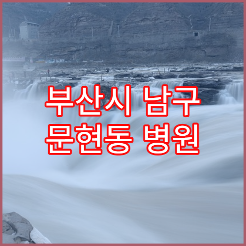 부산시 남구 문현동 병원 예약 변경 가능한 시간대