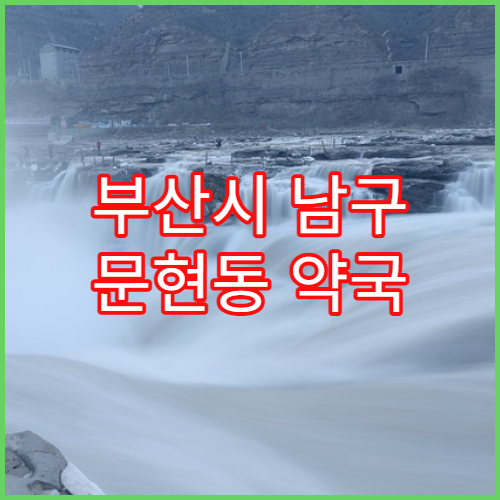 부산시 남구 문현동 약국 조제 취소 가능한 시점