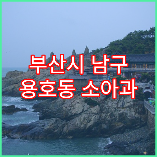 부산시 남구 용호동 소아과 예방접종 기록 확인 방법
