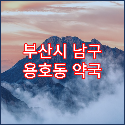 부산시 남구 용호동 약국 동일 처방 반복 조제 가능 여부