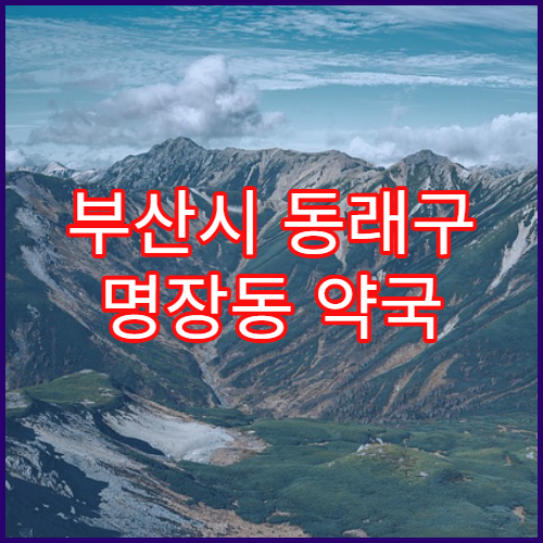 부산시 동래구 명장동 약국 약 수령 대리 가능 조건