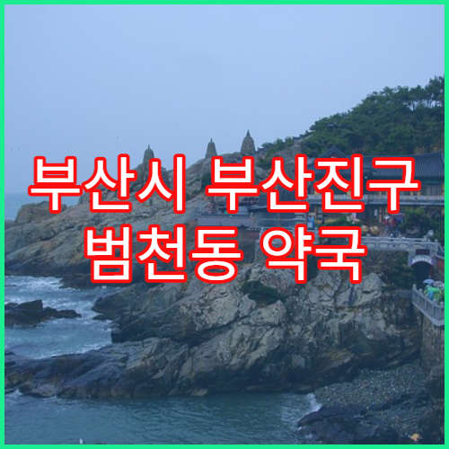 부산시 부산진구 범천동 약국 동일 성분 약 교체 기준