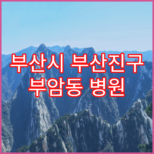 부산시 부산진구 부암동 병원 진료시간 변경 여부 확인 방법