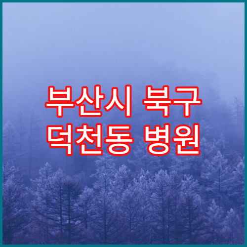 부산시 북구 덕천동 병원 진료비 본인부담금 계산 기준