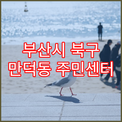 부산시 북구 만덕동 주민센터 주민등록 말소 기준 정리