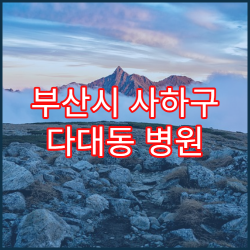 부산시 사하구 다대동 병원 검사 순서 조정 가능 여부