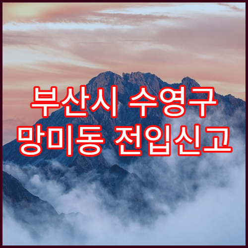 부산시 수영구 망미동 전입신고 처리가 늦어지는 이유