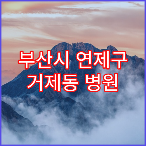 부산시 연제구 거제동 병원 재진 인정되는 기간 기준