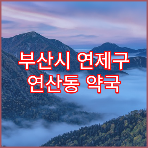 부산시 연제구 연산동 약국 약 반품 허용 가능한 경우
