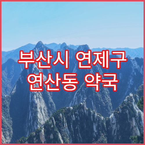 부산시 연제구 연산동 약국 처방전 스캔 제출 가능 여부