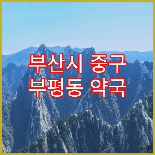 부산시 중구 부평동 약국 처방전 재사용 허용 조건