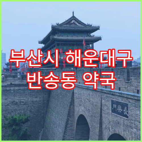 부산시 해운대구 반송동 약국 처방전 날짜 오류 대처 방법
