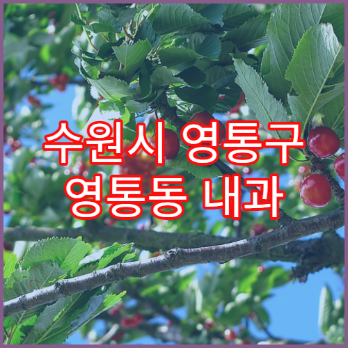 수원시 영통구 영통동 내과 첫 방문 접수 절차 정리