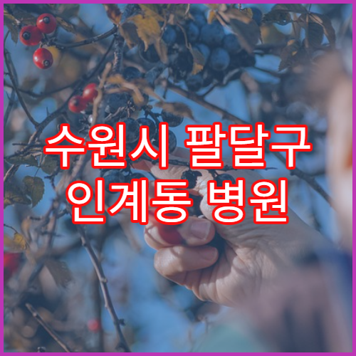 수원시 팔달구 인계동 병원 진단서 발급까지 소요되는 평균 시간